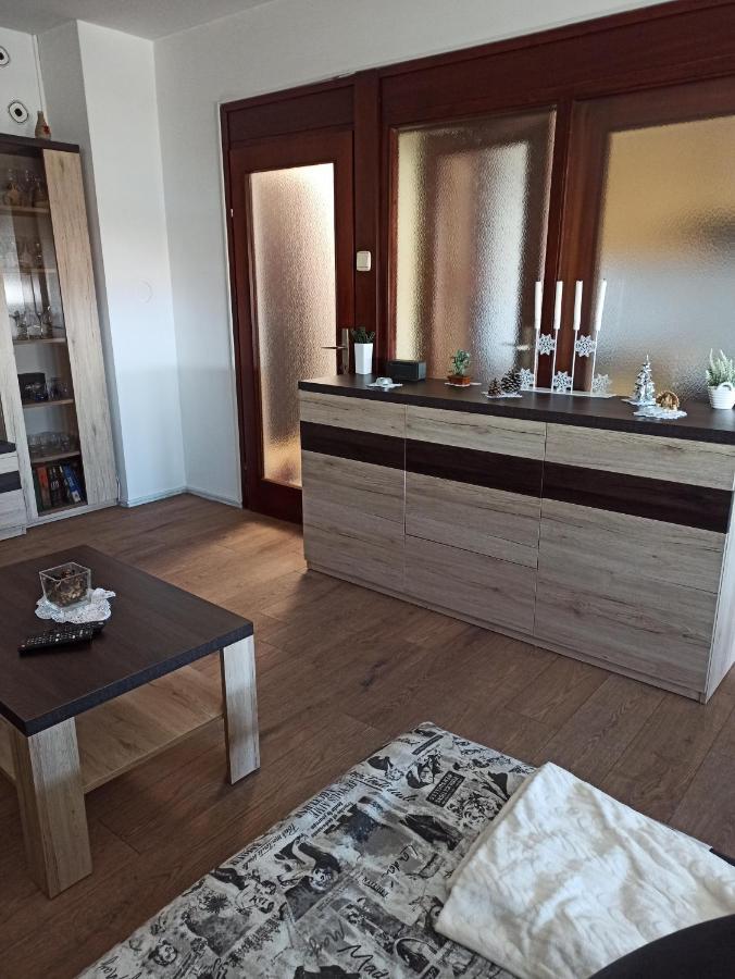Appartement Apartman Lana ,Froudeova Ulica 3 Nasuprot Zg Velesajma à Zagreb Extérieur photo